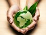 Ecos e il rispetto per l’ambiente